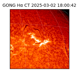 gong - 2025-03-02T18:00:42