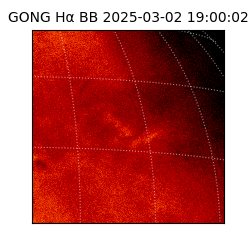 gong - 2025-03-02T19:00:02