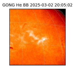 gong - 2025-03-02T20:05:02