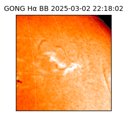gong - 2025-03-02T22:18:02