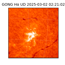 gong - 2025-03-02T02:21:02