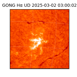 gong - 2025-03-02T03:00:02