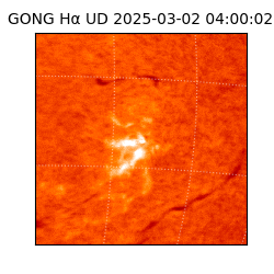 gong - 2025-03-02T04:00:02