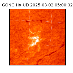 gong - 2025-03-02T05:00:02