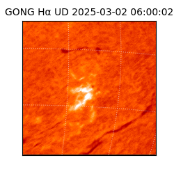 gong - 2025-03-02T06:00:02