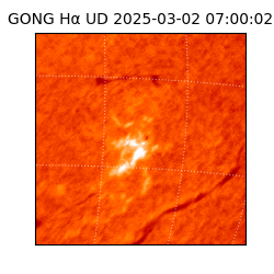 gong - 2025-03-02T07:00:02