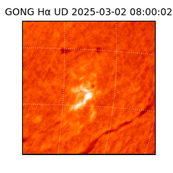 gong - 2025-03-02T08:00:02