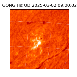 gong - 2025-03-02T09:00:02