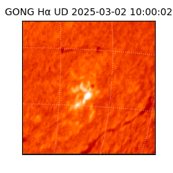 gong - 2025-03-02T10:00:02