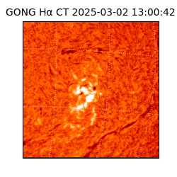 gong - 2025-03-02T13:00:42