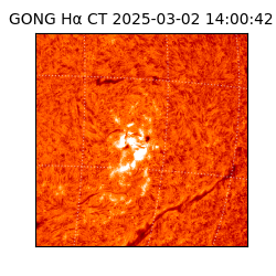 gong - 2025-03-02T14:00:42