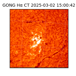 gong - 2025-03-02T15:00:42