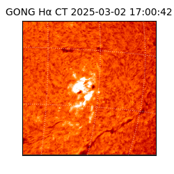 gong - 2025-03-02T17:00:42