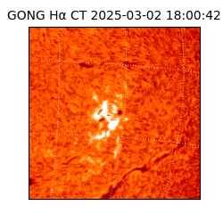 gong - 2025-03-02T18:00:42