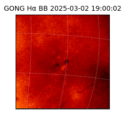 gong - 2025-03-02T19:00:02