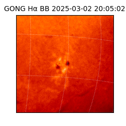 gong - 2025-03-02T20:05:02