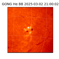 gong - 2025-03-02T21:00:02