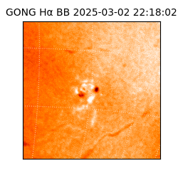 gong - 2025-03-02T22:18:02