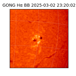 gong - 2025-03-02T23:20:02