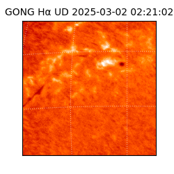 gong - 2025-03-02T02:21:02