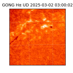 gong - 2025-03-02T03:00:02