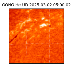 gong - 2025-03-02T05:00:02