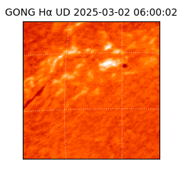 gong - 2025-03-02T06:00:02