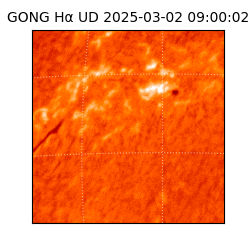 gong - 2025-03-02T09:00:02