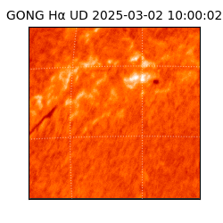 gong - 2025-03-02T10:00:02