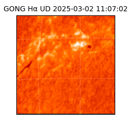 gong - 2025-03-02T11:07:02