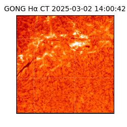 gong - 2025-03-02T14:00:42