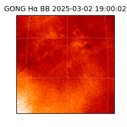 gong - 2025-03-02T19:00:02