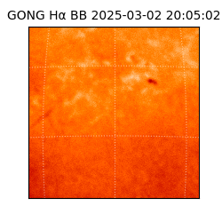 gong - 2025-03-02T20:05:02