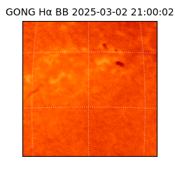 gong - 2025-03-02T21:00:02