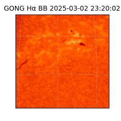 gong - 2025-03-02T23:20:02