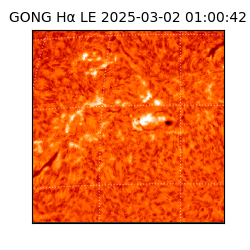 gong - 2025-03-02T01:00:42