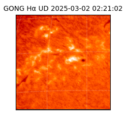gong - 2025-03-02T02:21:02