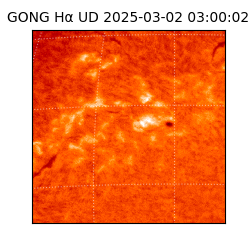 gong - 2025-03-02T03:00:02