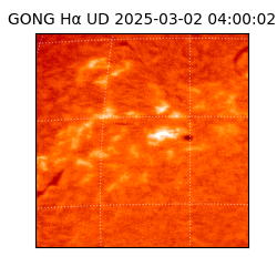 gong - 2025-03-02T04:00:02