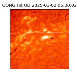 gong - 2025-03-02T05:00:02