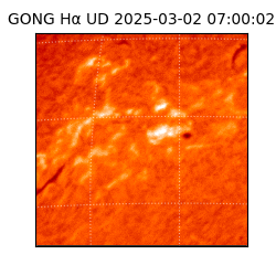 gong - 2025-03-02T07:00:02