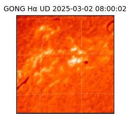 gong - 2025-03-02T08:00:02