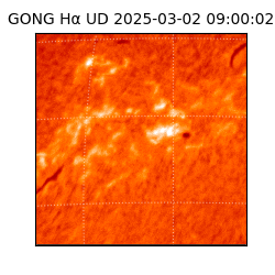 gong - 2025-03-02T09:00:02