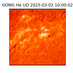 gong - 2025-03-02T10:00:02