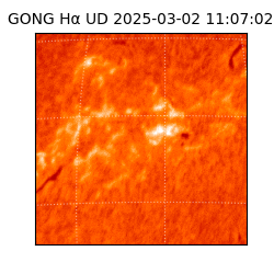 gong - 2025-03-02T11:07:02