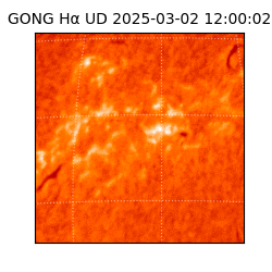 gong - 2025-03-02T12:00:02