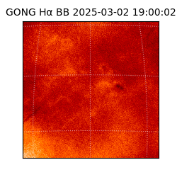 gong - 2025-03-02T19:00:02