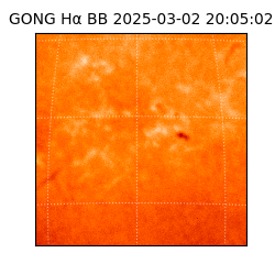 gong - 2025-03-02T20:05:02