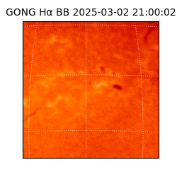 gong - 2025-03-02T21:00:02