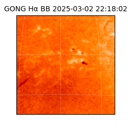 gong - 2025-03-02T22:18:02